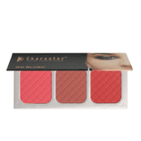 3 Colour Blusher NTE 2