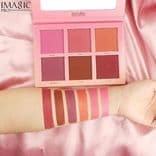 Touch Blush Palette 2