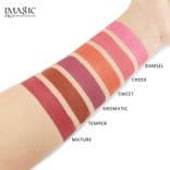 Touch Blush Palette 1